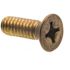 Generic Machine Screws, Phil Dr, 1/4in-20 X 3/4in, Brass, Package Of 50