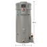 Rheem Professional Prestige Maximus 50 Gal. Tall 12-Year 76k BTU Liquid Propane Gas Tank Water Heater With Leaksense
