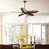 Generation Lighting Cruise 52 Inch Indoor/Outdoor Roman Bronze Ceiling Fan Walnut Blades