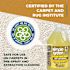 Simple Green Clean Building Carpet Cleaner Concentrate, Unscented, 1 Gal Bottle