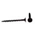 Generic Drywall Screws, Bugle, Phillips , Black Steel, Package Of 100