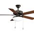 Progress Lighting Airpro Builder 42 In Indoor Ceiling Fan (Antique Bronze)