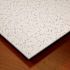Genesis 2ft X 4ft Printed PRO Lay In Ceiling Tile, Case Of 10
