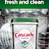 Cascade Actionpacs, Fresh Scent, 34.5 Oz 62/tub, Carton Of 62
