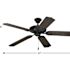 Progress Lighting Airpro 52 In Indoor/Outdoor Ceiling Fan (Forged Black)
