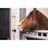 Toolflex One Universal Holder Includes Wall Adapter Black Package Of 2