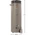 Rheem 80g 200k BTU Uln Natural Gas Direct Vent Water Heater