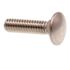 Generic Carriage Bolts,Ss, Package Of 100