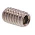 Generic Skt Set Scws, -207/16 In, Grd 18-8 Ss, Package Of 10