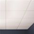Genesis 2ft X 2ft Stucco PRO Flat White Lay In Ceiling Tile, Case Of 12