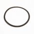 Bell & Gossett Volute Gasket For 8 Bolt Volute