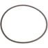 Bell & Gossett Adapt Ring Gasket