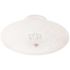 Satco White Incandescent Two-Light 12 Ceiling Fixture