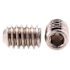 Generic Socket Set Screws, 8 In, Ss, Package Of 10