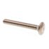 Generic Carriage Bolts, Ss, Package Of 25