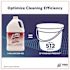 Lysol No Rinse Sanitizer, 1 Gallon Bottle, Carton Of 4