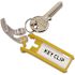 Durable Key Tgs Locking Ky Cabints Plstc 1 1/8 X 2 3/4 Asst Package Of 24