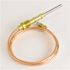 Johnson Controls Thermocouple High Performance 25-35 Mv Open