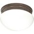 Satco Old Bronze Two-Light 10 Mushroom Flush Mount