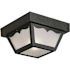 Progress Lighting 8-1/4" Black One-Light Flush Ceiling Mount Fixture
