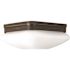 Progress Lighting Antique Bronze 9 Two-Light Flush With Etched Opal Glass