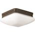 Progress Lighting Antique Bronze 9 Two-Light Flush With Etched Opal Glass