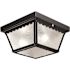 Progress Lighting LED 9-1/4" Black Two-Light Flush Ceiling Mount Fixture