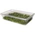Rubbermaid Commercial Clear Food Storage Box Lid 26" X 18" Package Of 6