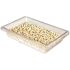 Rubbermaid Commercial 5 Gal Clr Plycrbnt Food Strg Box 18 X12 X 3.5 Package Of 6