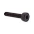 Generic Shcs, Cls 12.9 Met, Hx Dr, M2, Blk Stl,package Of 10