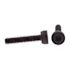 Generic Shcs, Cls 12.9 Met, Hx Dr, M2, Blk Stl,package Of 10
