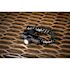 Coast Rechargeable Xph30r Dual Power Headlamp