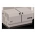 Champion Power Equipment 14,000-Watt Dual Fuel Liquid Propane/gas Generator