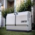 Champion Power Equipment 14,000-Watt Dual Fuel Liquid Propane/gas Generator