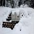 Champion Power Equipment 22000 W Dual Fuel Liquid Propane/natural Gas Home Stand