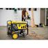 Champion Power Equipment 6250 W Dual Fuel Portable Generator With Co Shield