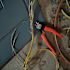Crescent 8" Z2 High Leverage Diagonal Cutting Pliers With Dual Material Grips