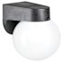 Generic Outdoor Porch Fixture, Black Lexan Housing, 6" White Acrylic Globe