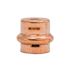 Quickfitting 1/2" Press Copper Cap Fitting (Case of 120)