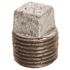WARD MFG. GALVANIZED PLUG 3/4 IN.