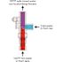 Cash Acme Water Heater Tank Booster Pro with Temperature Gauge