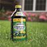 Spectracide 40 oz. Lawn Weed Killer Concentrate