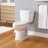 Niagara Stealth Stealth 2-Piece 0.8 GPF Ultra-High-Efficiency Single Flush Elongated Toilet in White, Seat Included