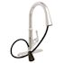 Premier Creswell Single-Handle Pull-Down Sprayer Kitchen Faucet with Concealed Sprayer in Chrome