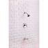 Premier Raleigh Single-Handle 3- -Spray Patterns Tub and Shower Faucet in Chrome (Valve Included)