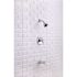 Premier Raleigh Single-Handle 3- -Spray Patterns Tub and Shower Faucet in Chrome (Valve Included)