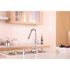 Premier Essen Single-Handle Pull-Down Sprayer Kitchen Faucet with Soap Dispenser in Chrome