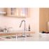 Premier Essen Single-Handle Pull-Down Sprayer Kitchen Faucet with Soap Dispenser in Chrome