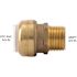 SharkBite 3/4 in. Brass Push-to-Connect PVC IPS x 3/4 in. Male Pipe Thread Adapter