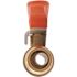 SharkBite 1/2 in. Push-to-Connect x FIP Brass Ball Valve